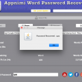 Appnimi Word Password Recovery