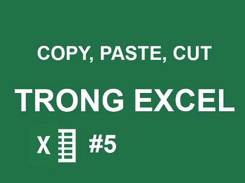 Hướng dẫn Copy Paste dữ liệu trong Excel