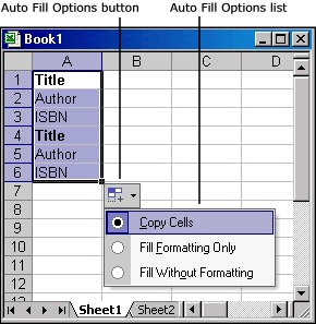 Hướng dẫn nhập dữ liệu bằng fill options