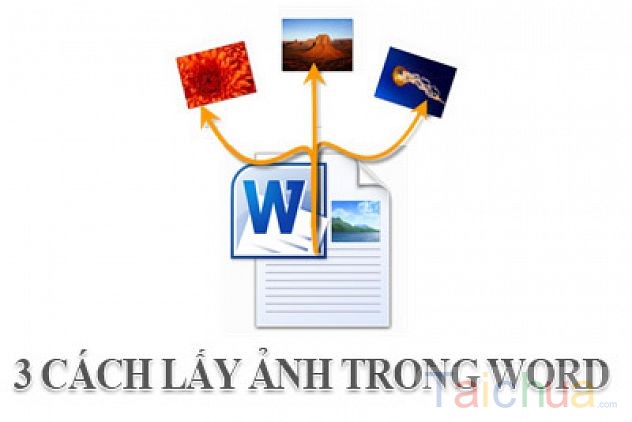 Hướng dẫn lấy ảnh trong Word 2016