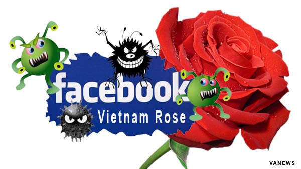 Hướng dẫn phóng chống virus Vietnam Rose hiệu quả