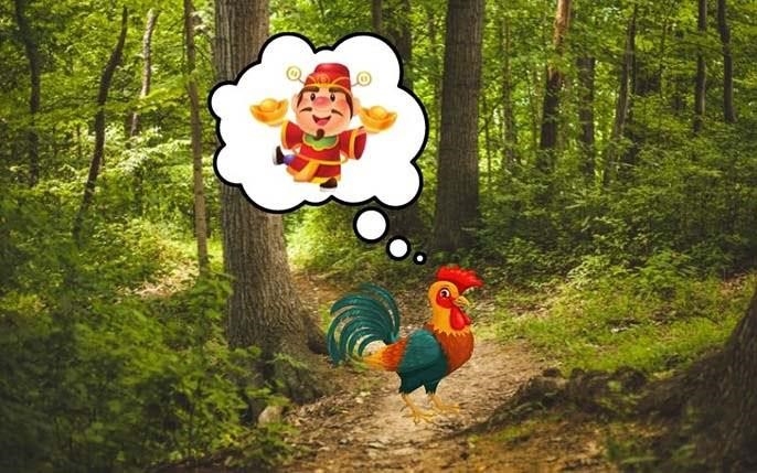 Mơ thấy con gà rừng nên đánh đề con gì?